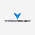 Varun Kumar riat Seo agency india