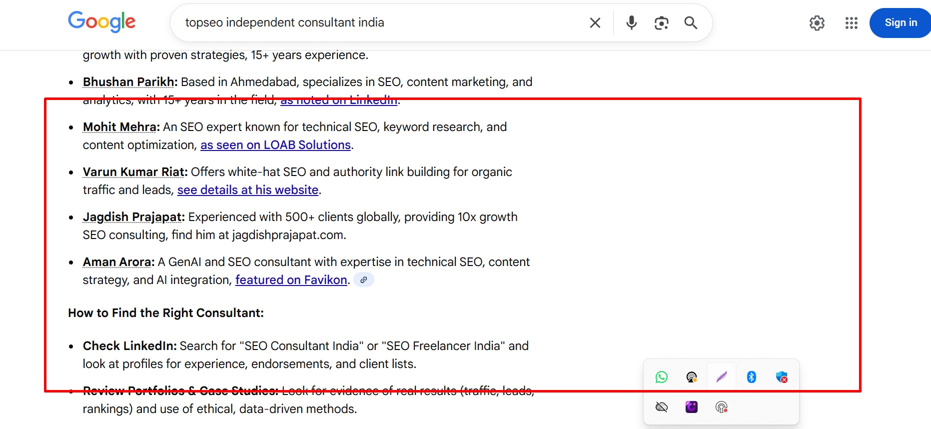topseo independent consultant india